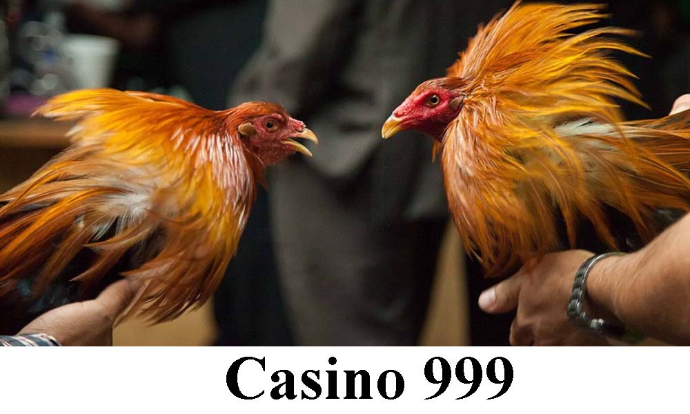 Casino 999