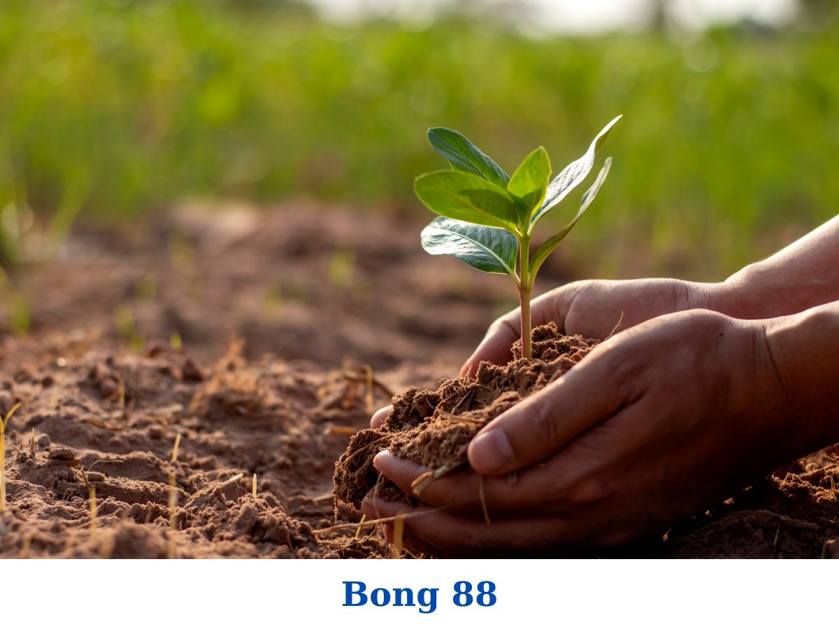 Viva88bong88.net - Tình nguyện chung tay bảo vệ môi trường, tạo không gian sống thân thiện